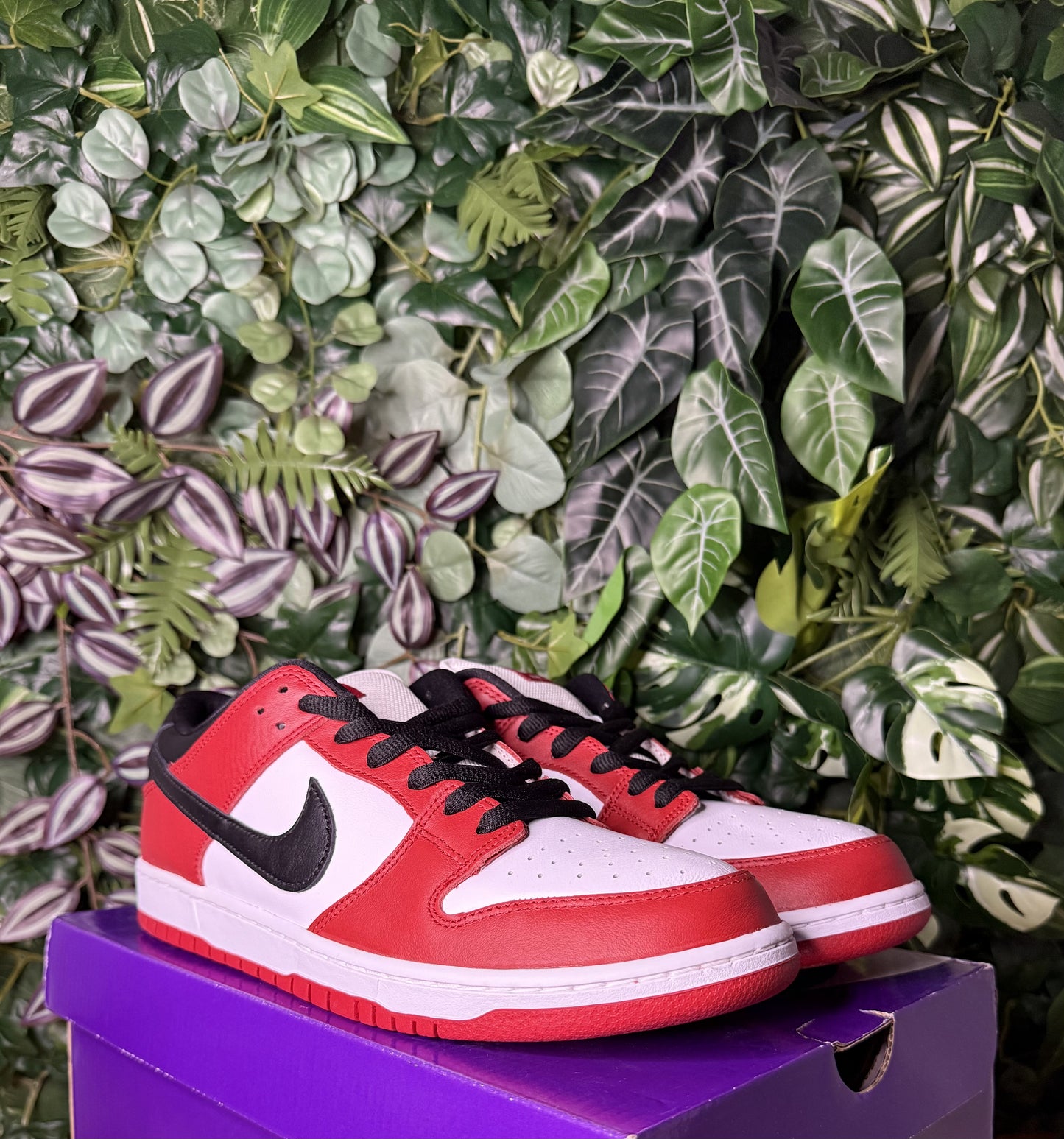 Dunk Sb Chicago (2024)