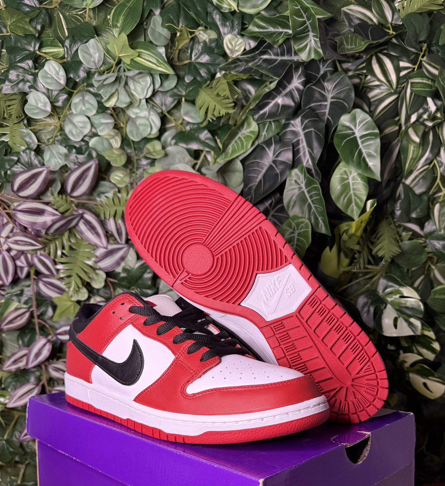 Dunk Sb Chicago (2024)