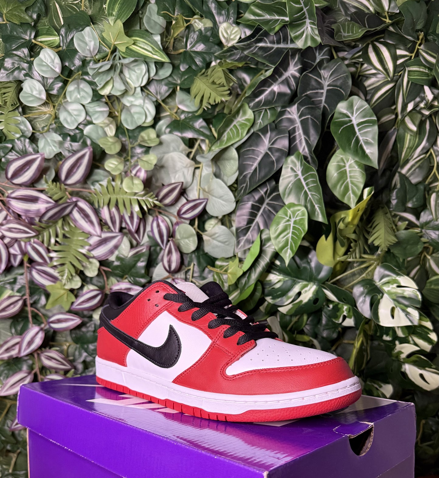 Dunk Sb Chicago (2024)