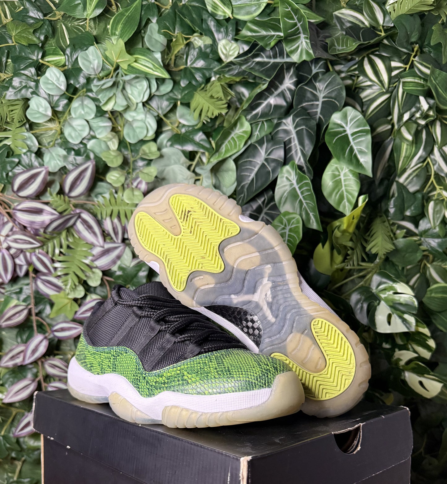 Jordan 11 Low Croco Green