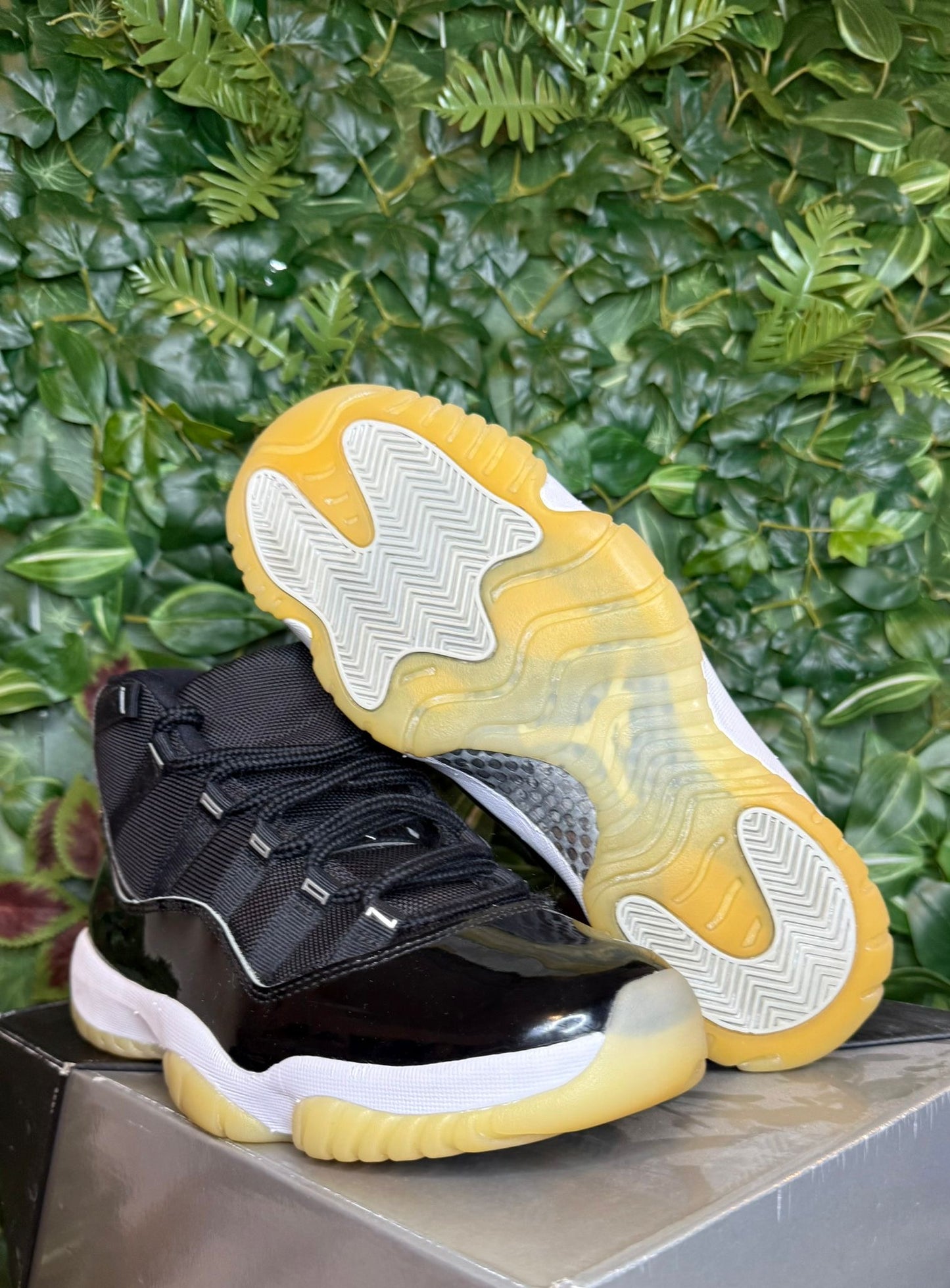 Jordan 11 Jubilee 25th Birthday