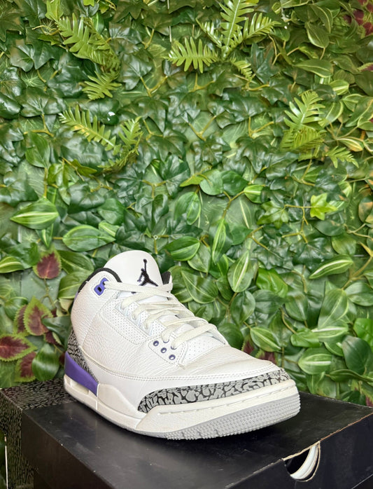 Jordan 3 purple