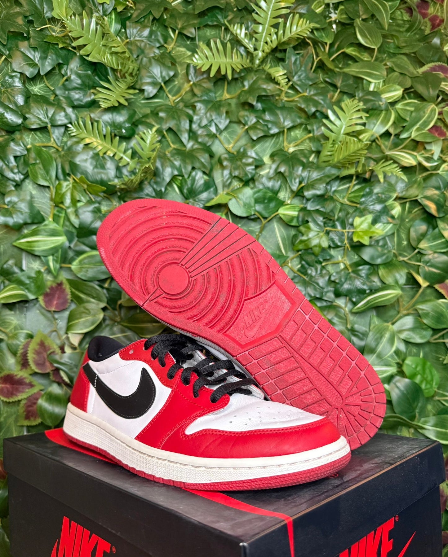 Jordan 1 Retro Low Chicago (2016)