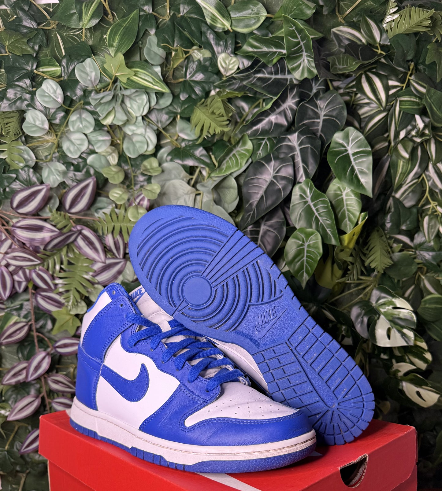 Dunk High Loyal Blue